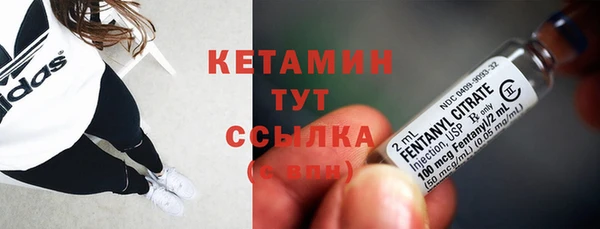 мяу мяу кристалл Гусь-Хрустальный