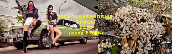 ECSTASY Гусиноозёрск
