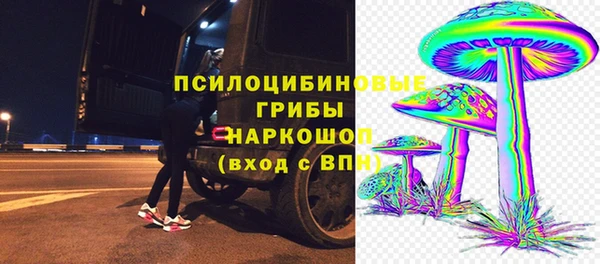 ECSTASY Гусиноозёрск