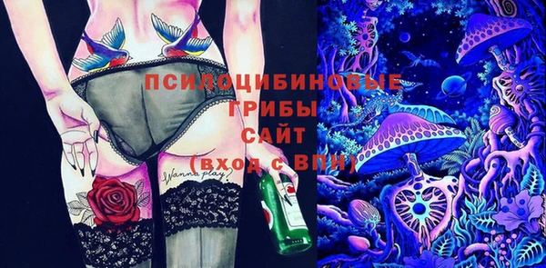 мяу мяу мука Гусев